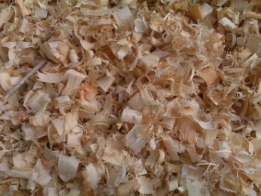 Wood Shavings and sawdust for horse bedding